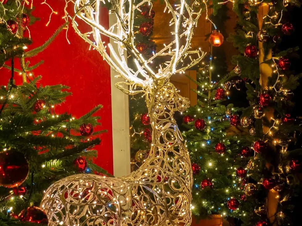 travel program image