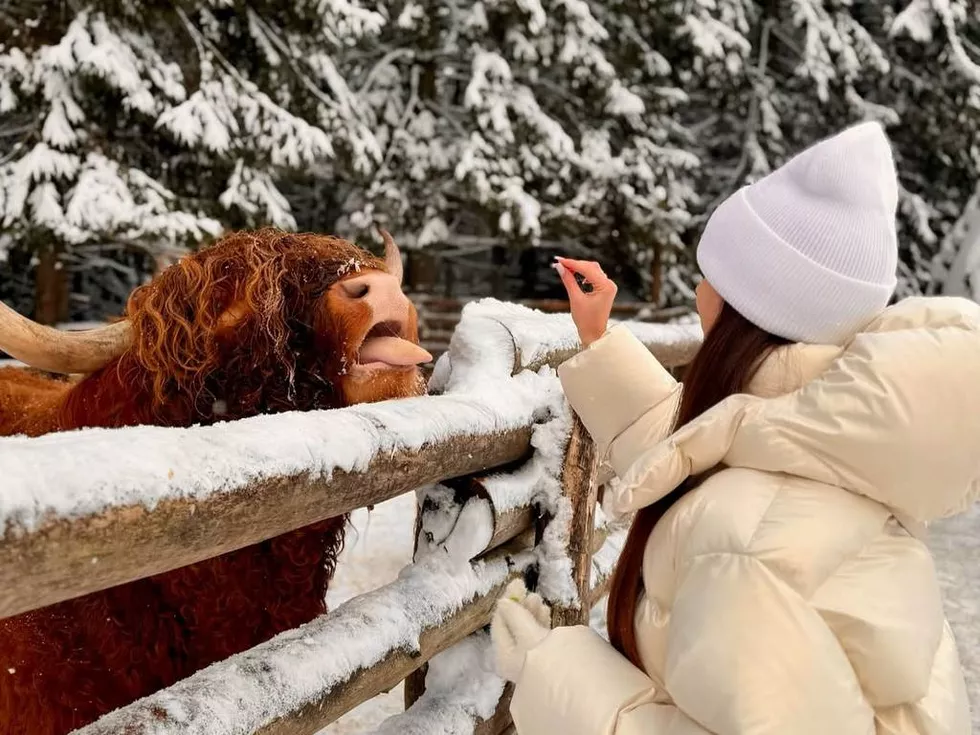 travel program image