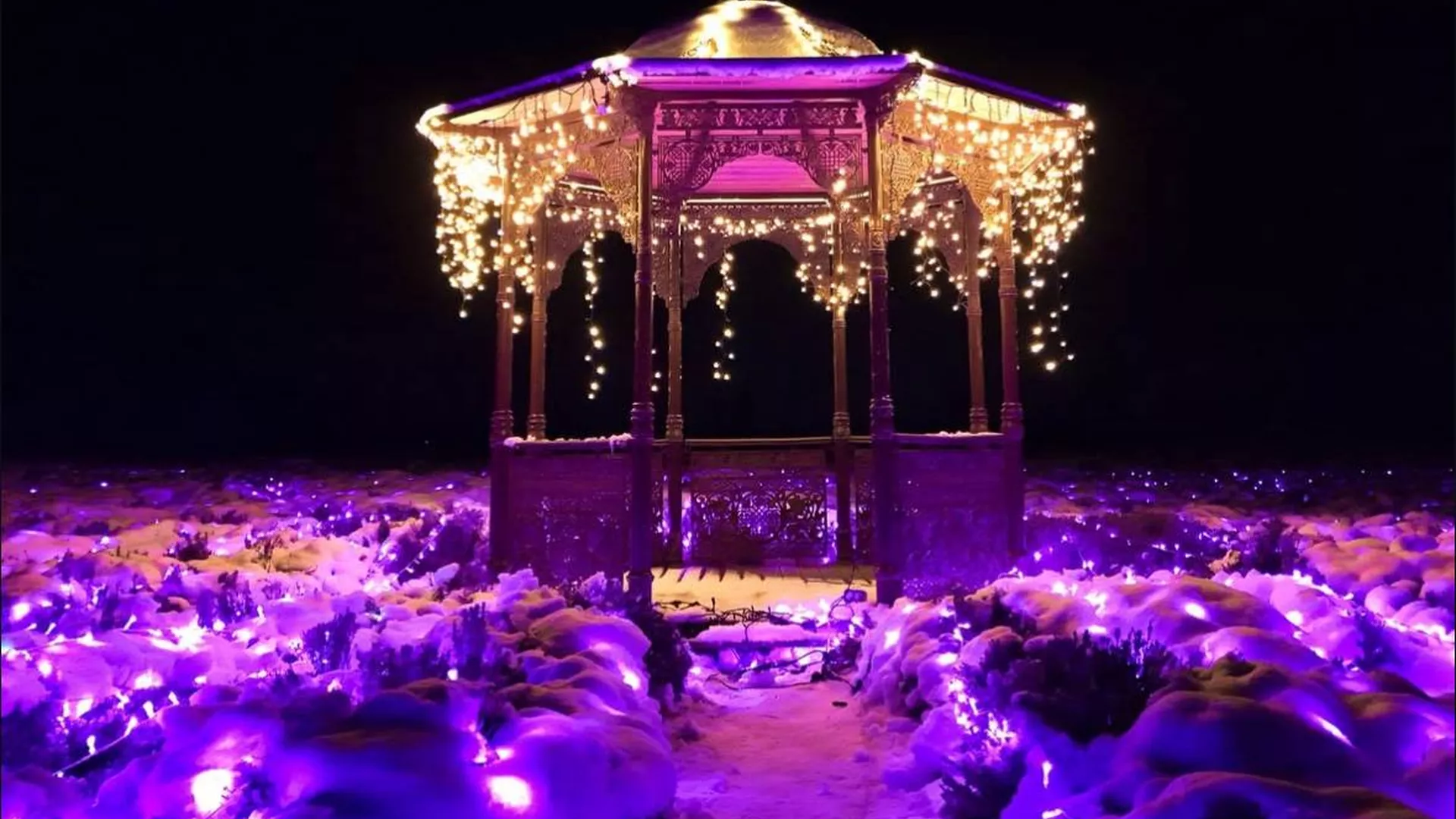 trip inroduction image