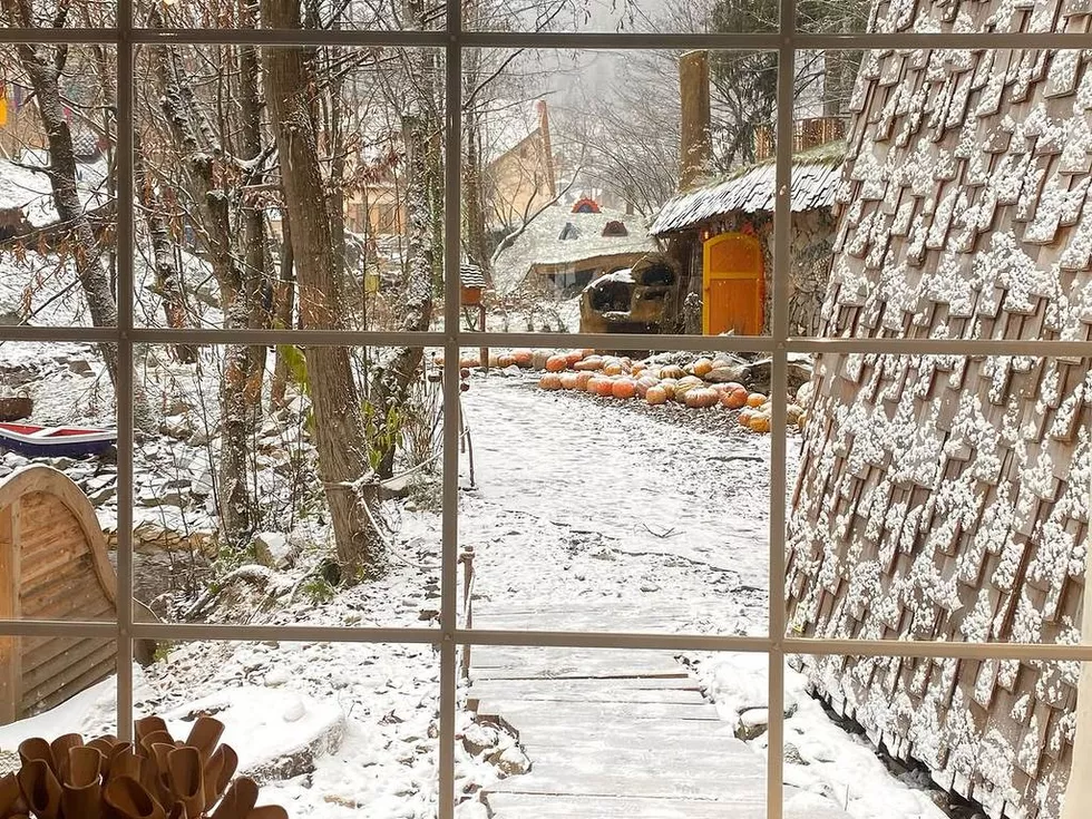 travel program image