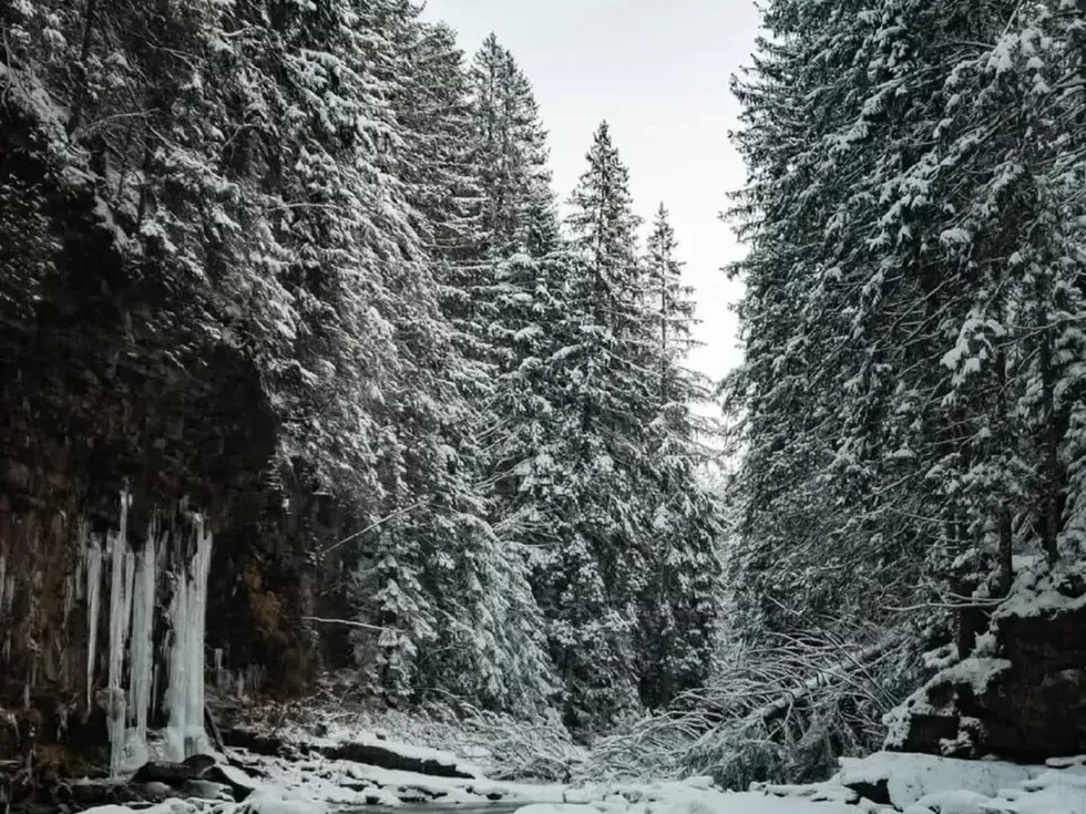 travel program image