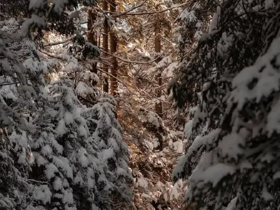 travel program image