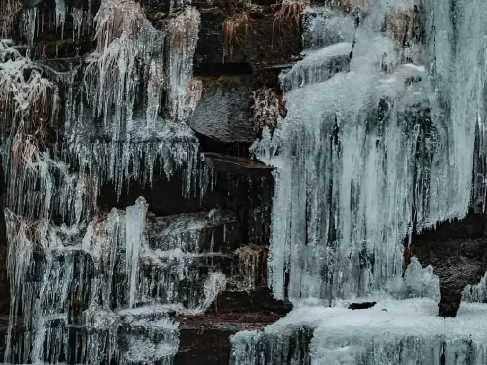 travel program image