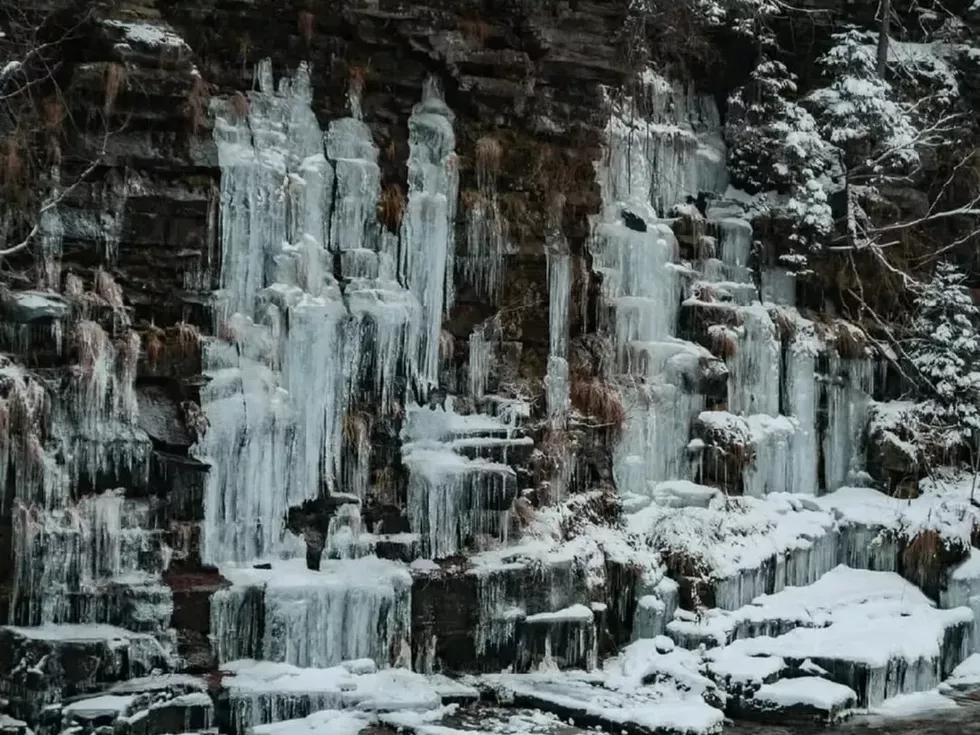 travel program image