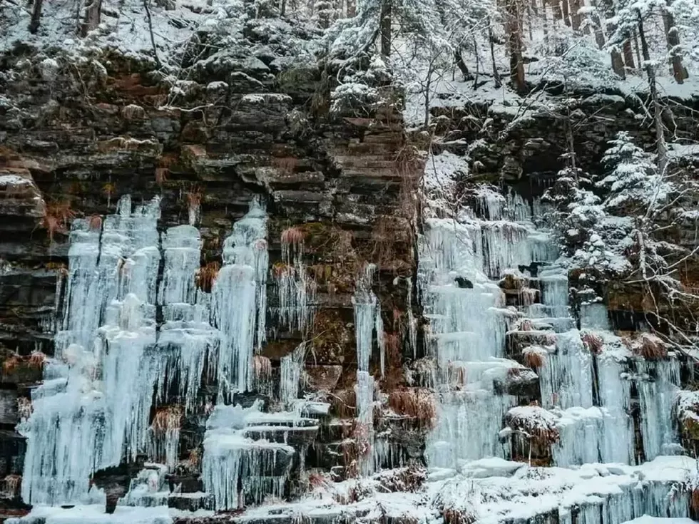 travel program image