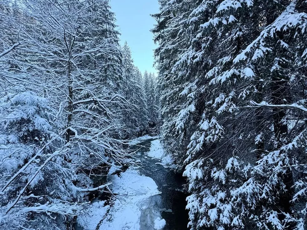 travel program image