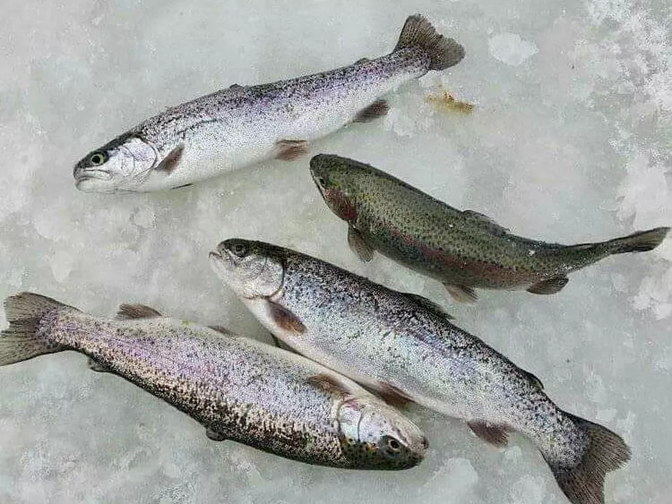 travel program image