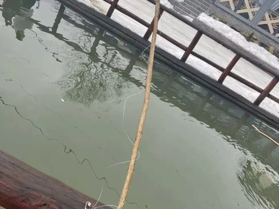 travel program image