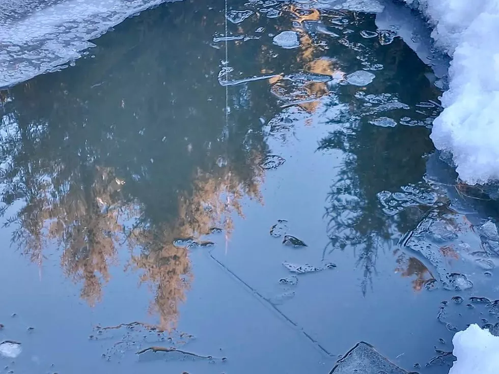 travel program image