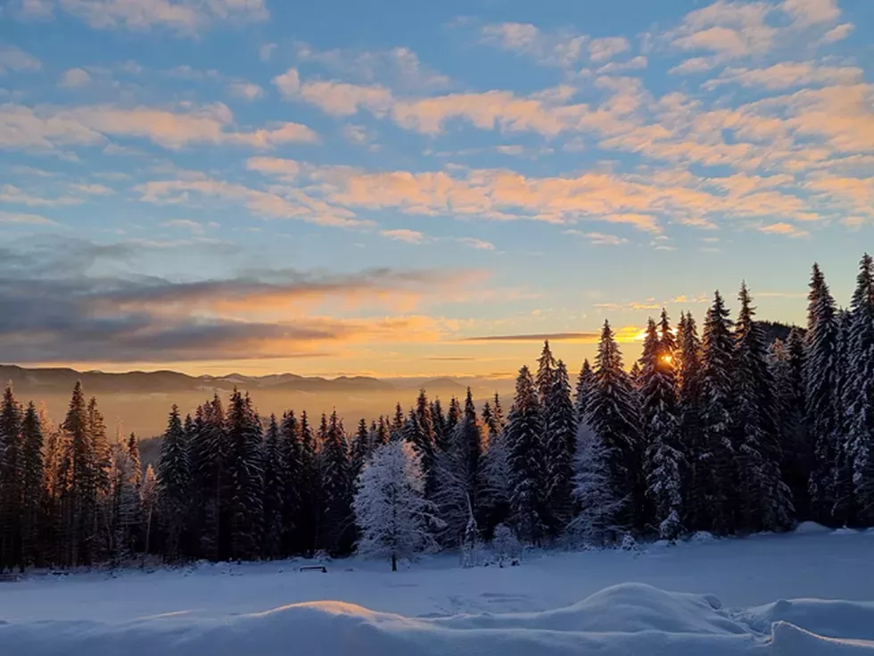 travel program image