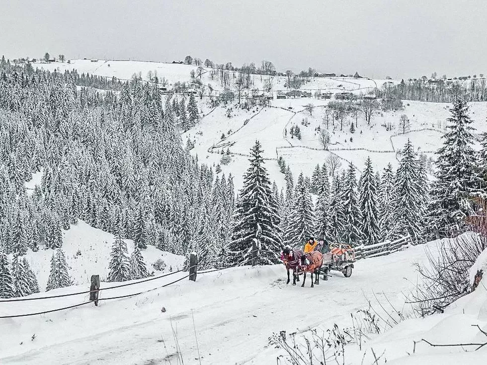 travel program image