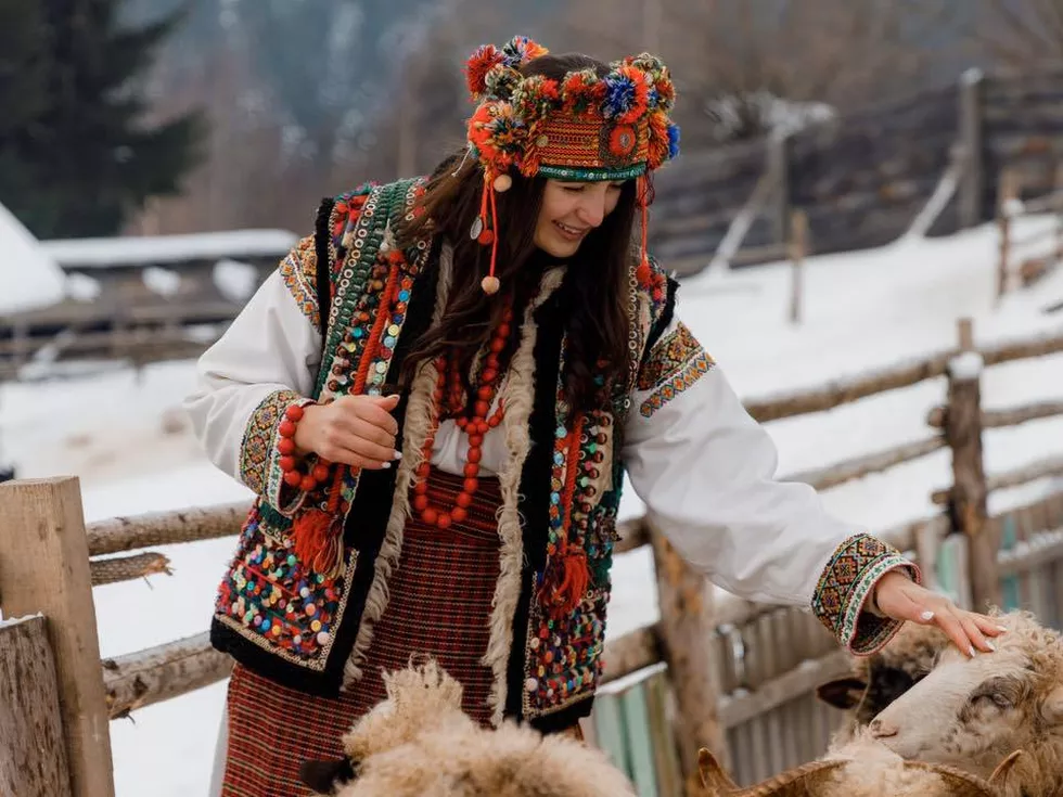 travel program image