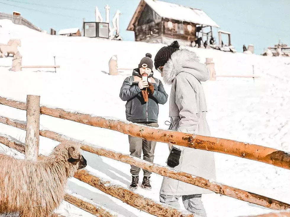 travel program image