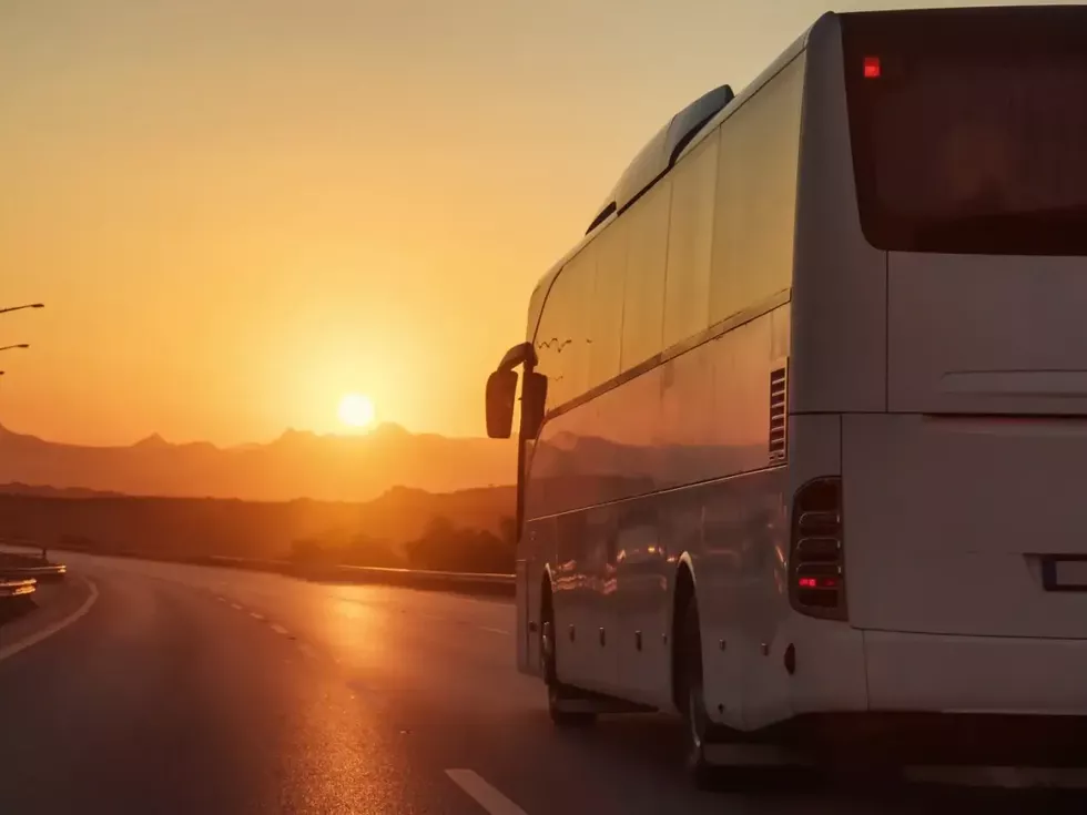 travel program image