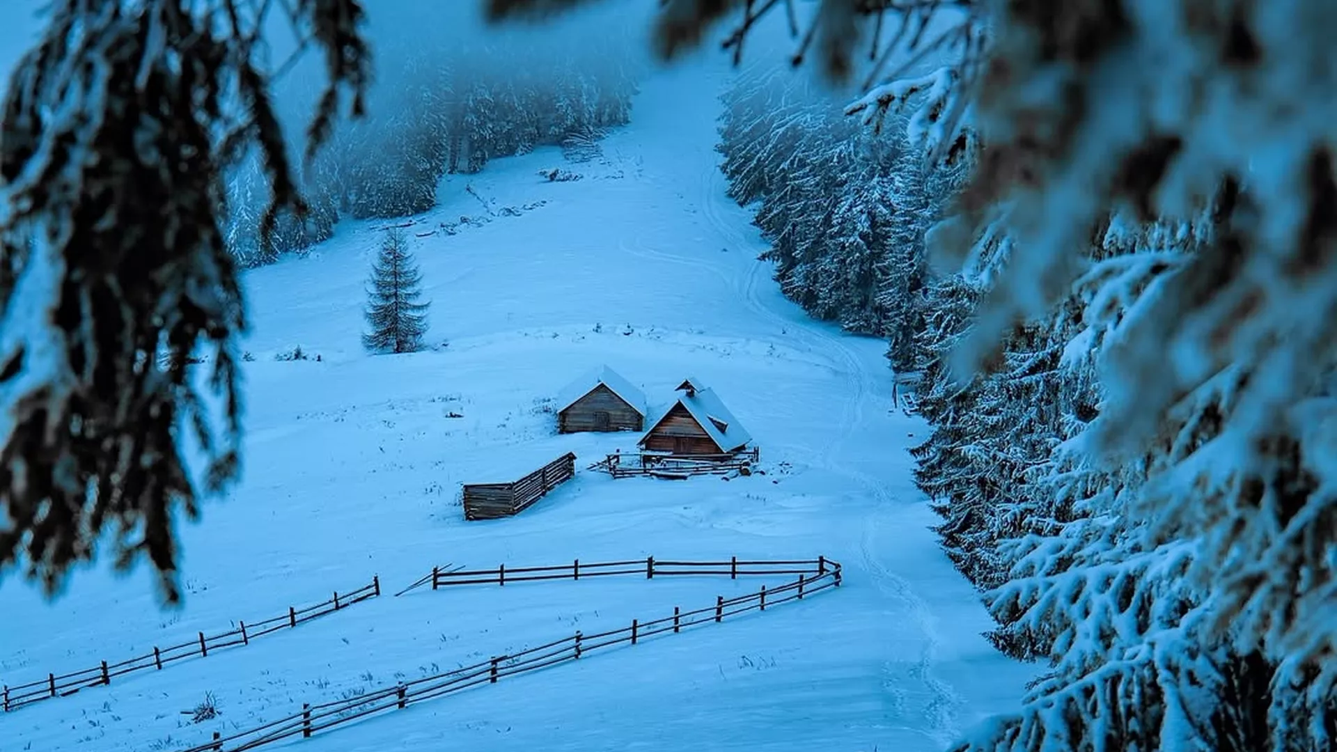 trip inroduction image