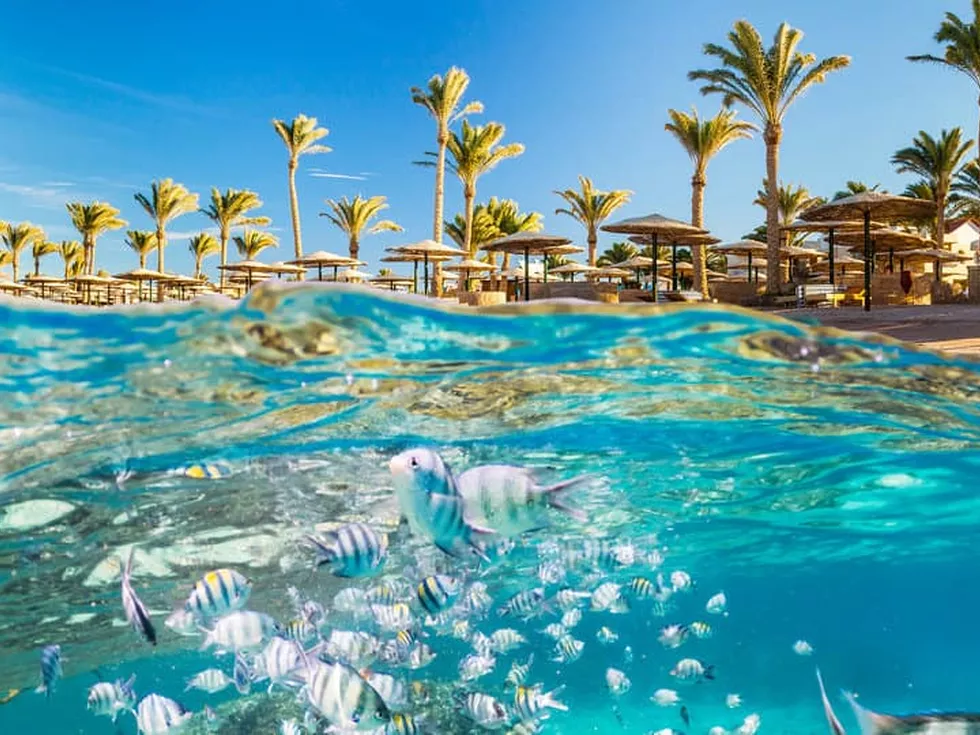 travel program image