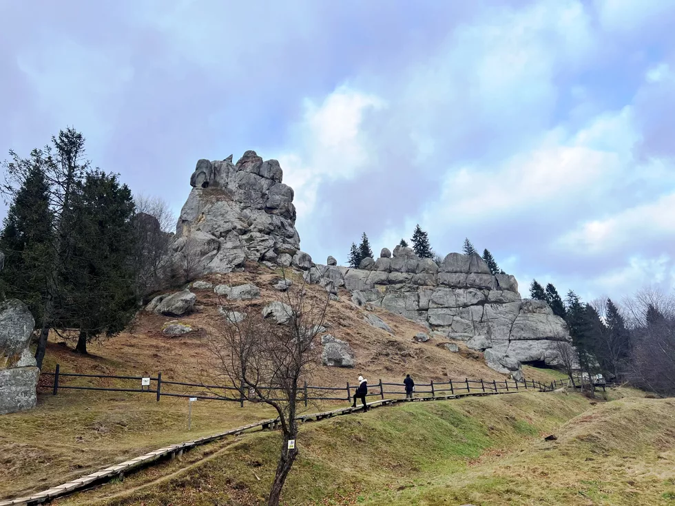 travel program image