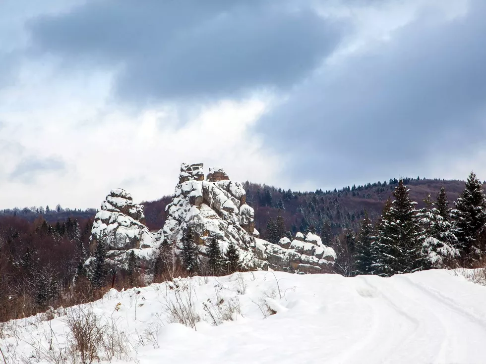 travel program image