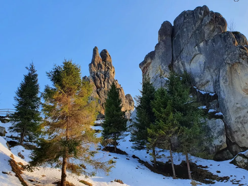 travel program image