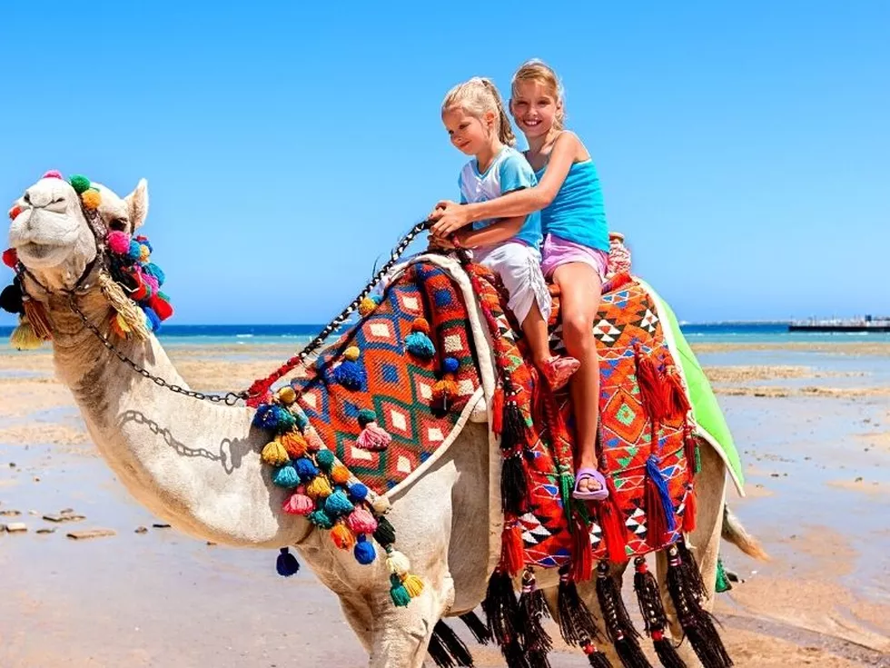 travel program image