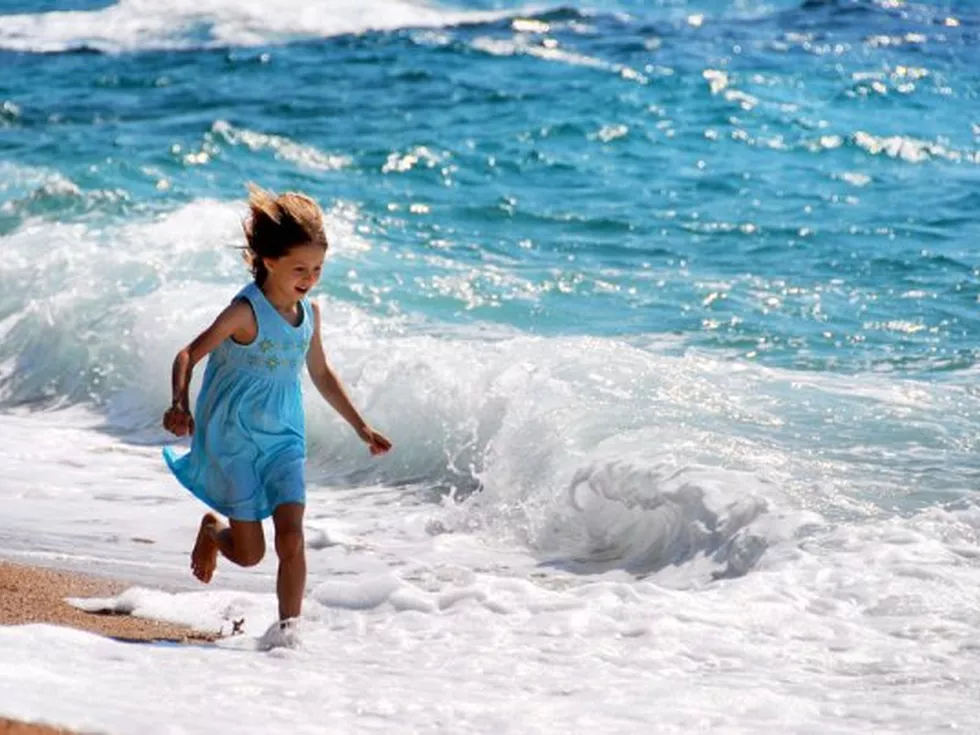 travel program image