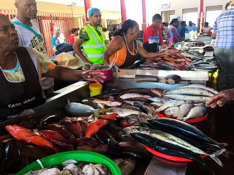 travel program image