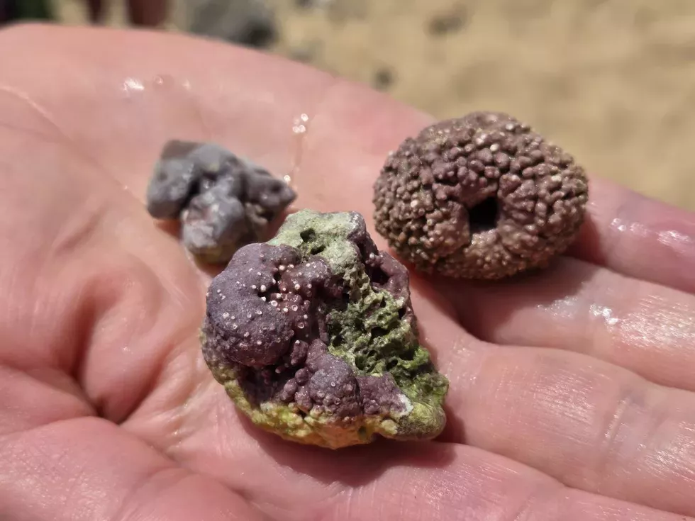 travel program image