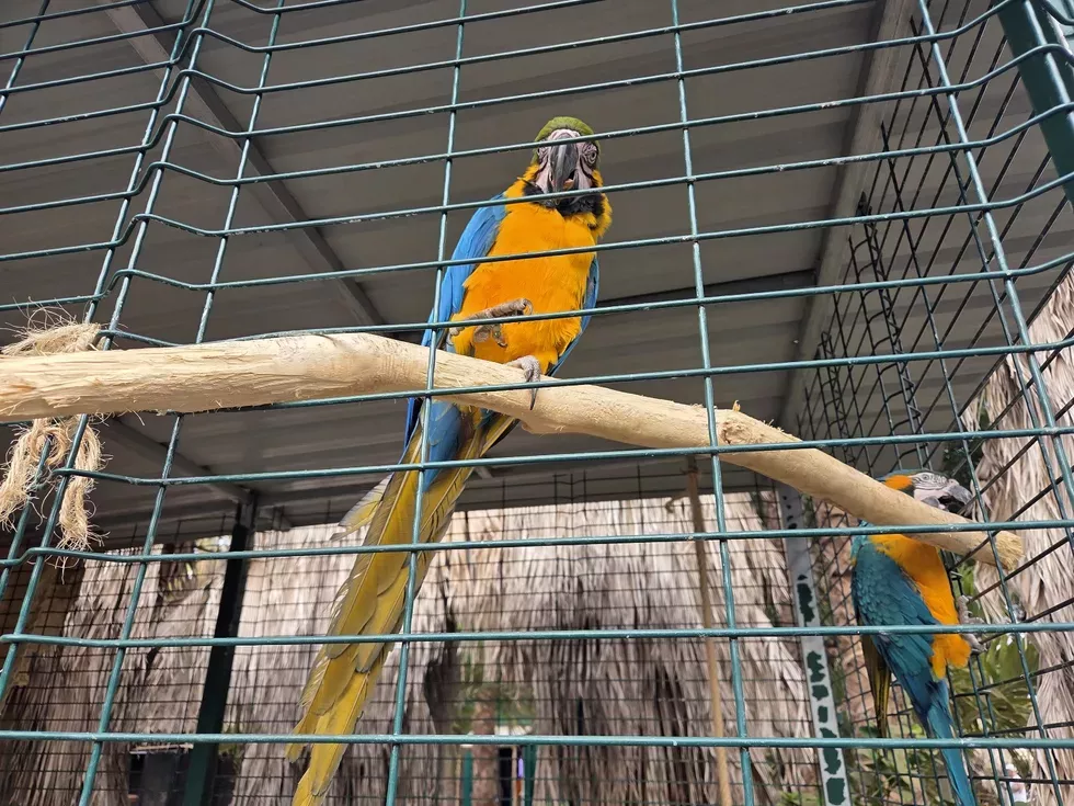 travel program image