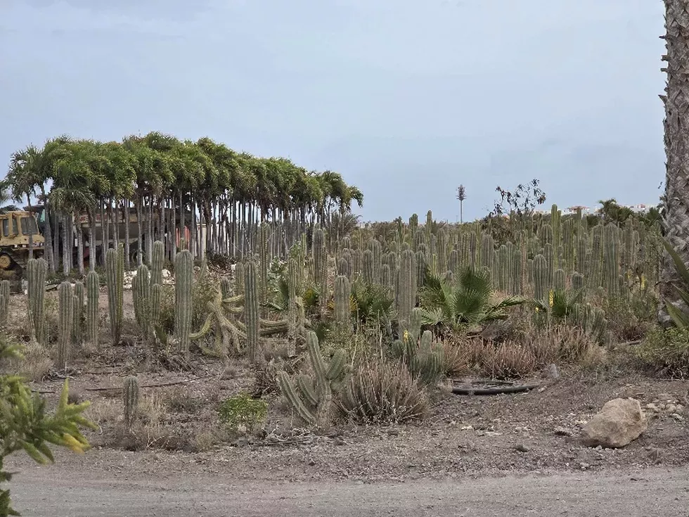 travel program image