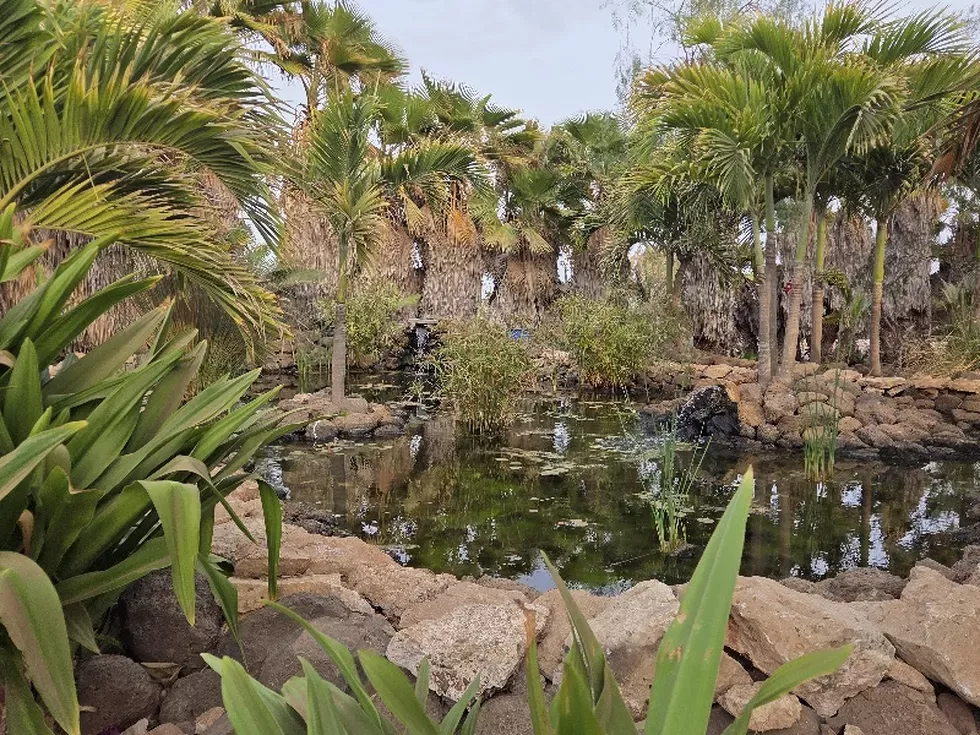 travel program image