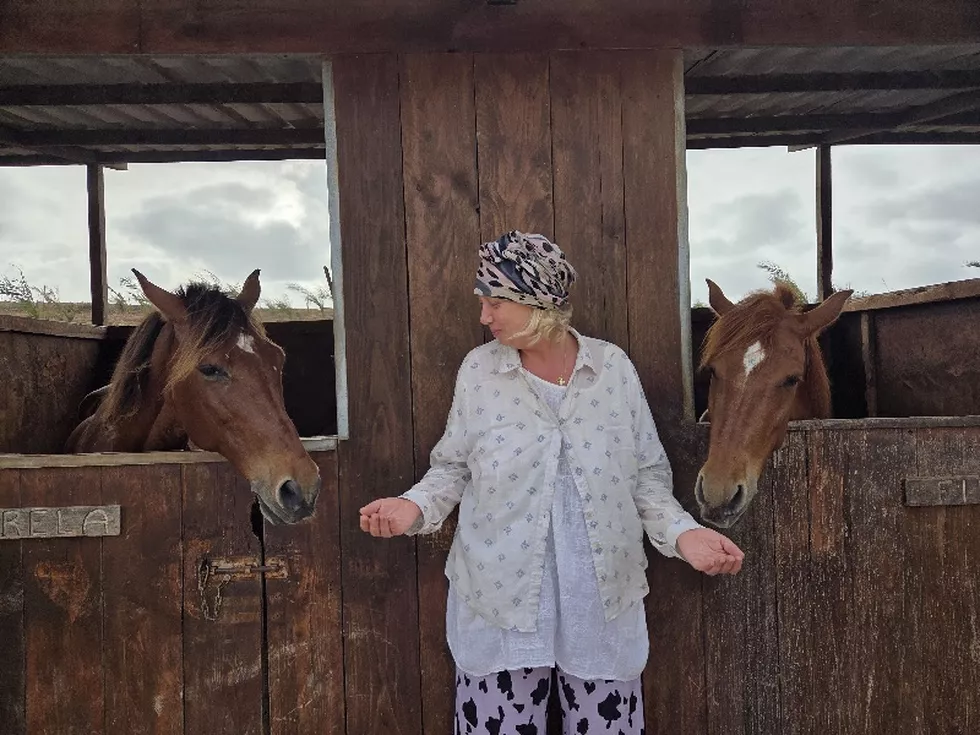 travel program image