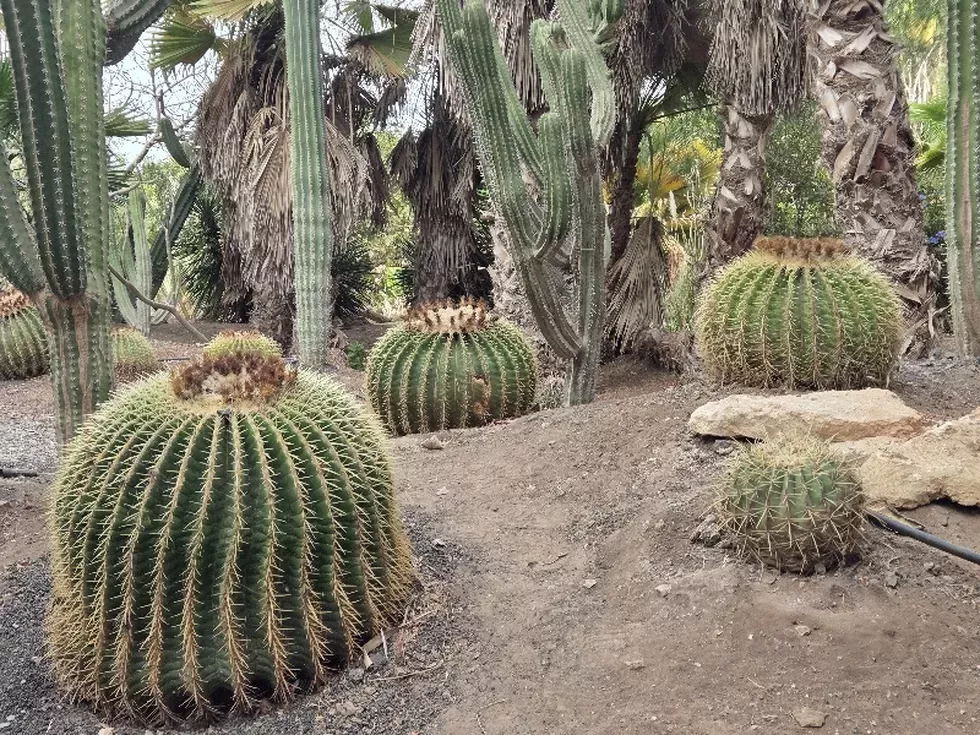 travel program image