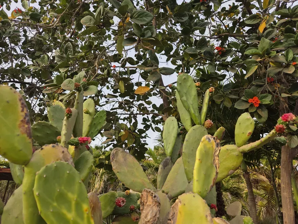 travel program image