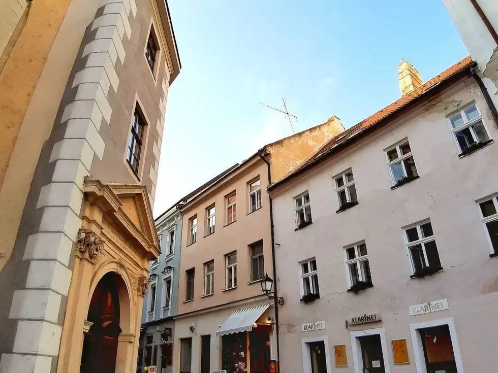 travel program image