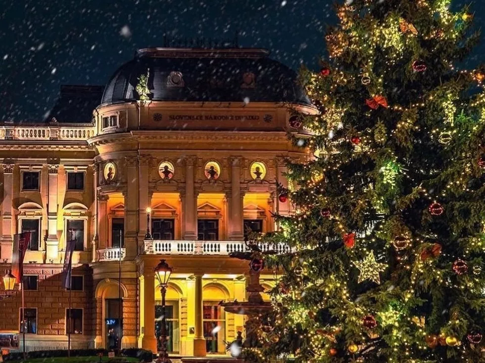 travel program image