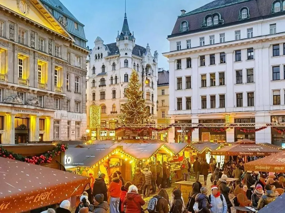 travel program image