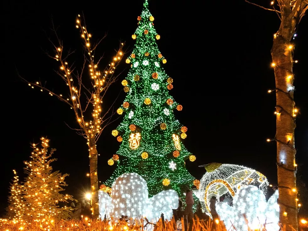 travel program image