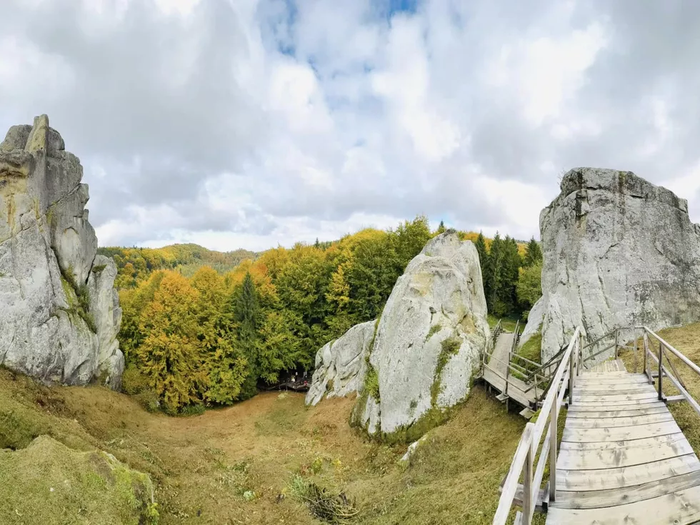 travel program image