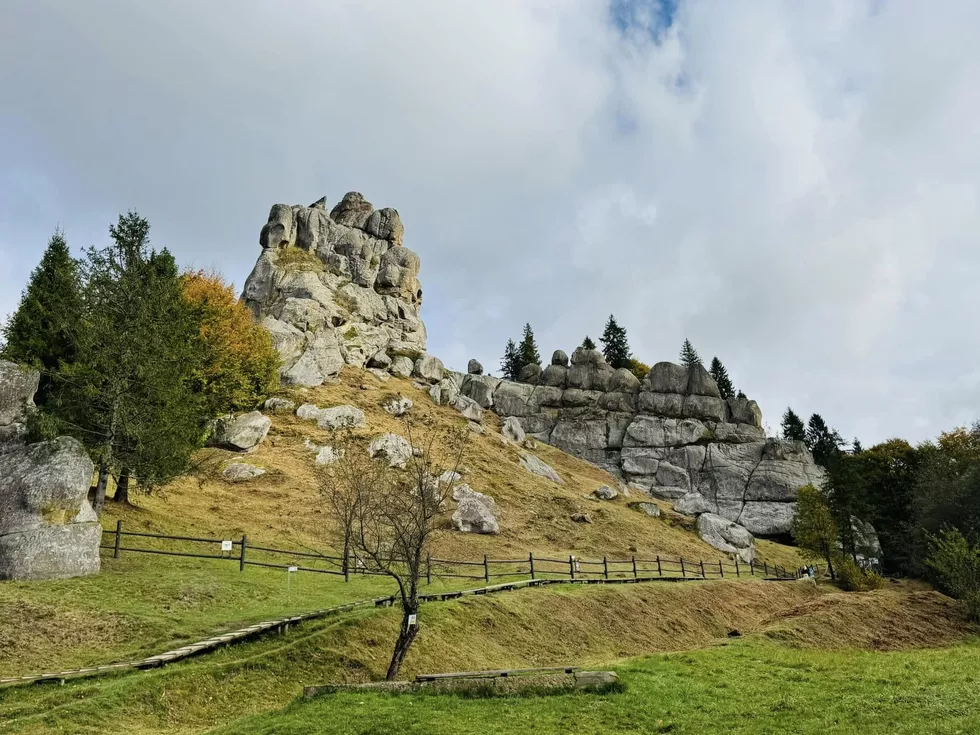 travel program image