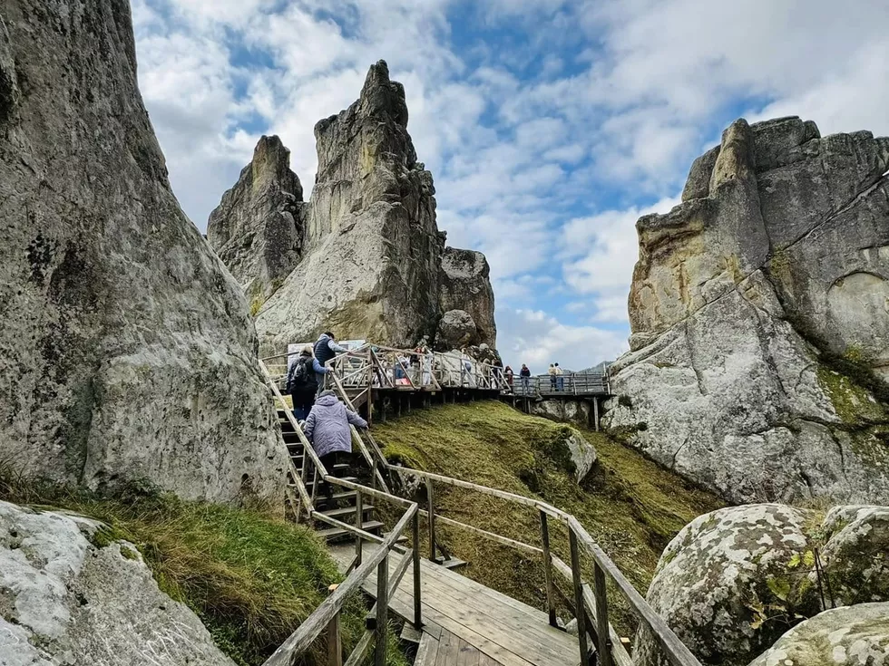 travel program image