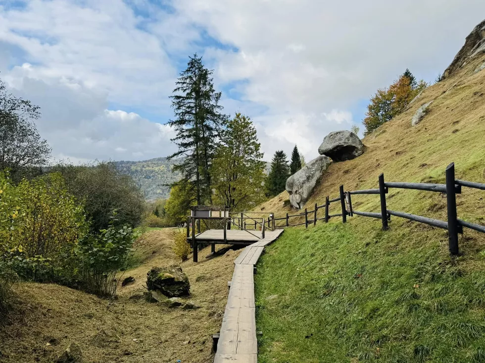 travel program image