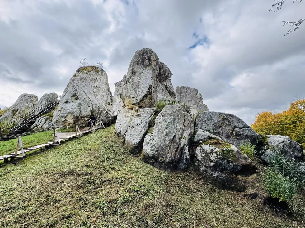 travel program image