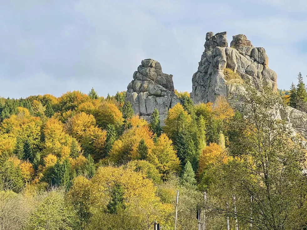 travel program image