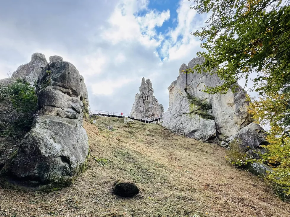 travel program image