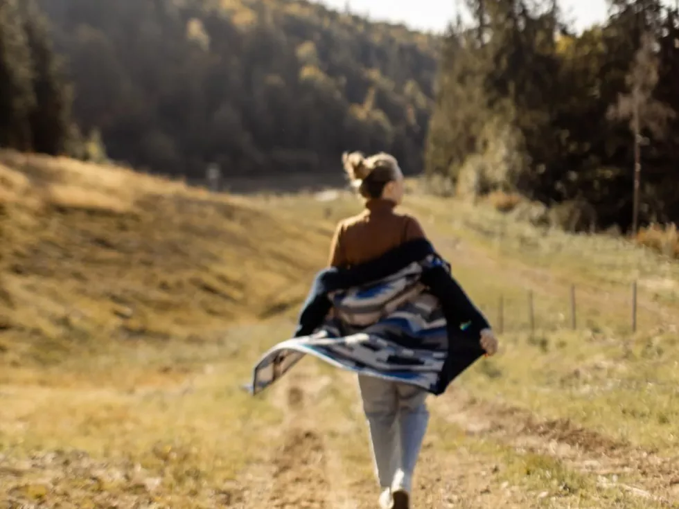 travel program image