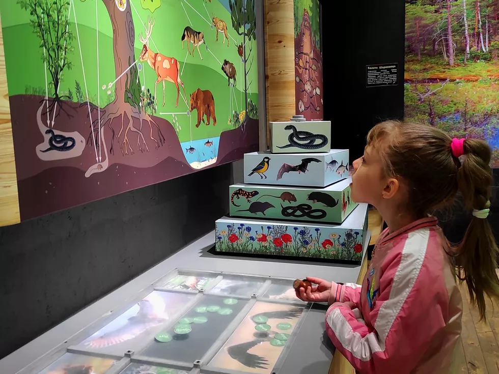 travel program image