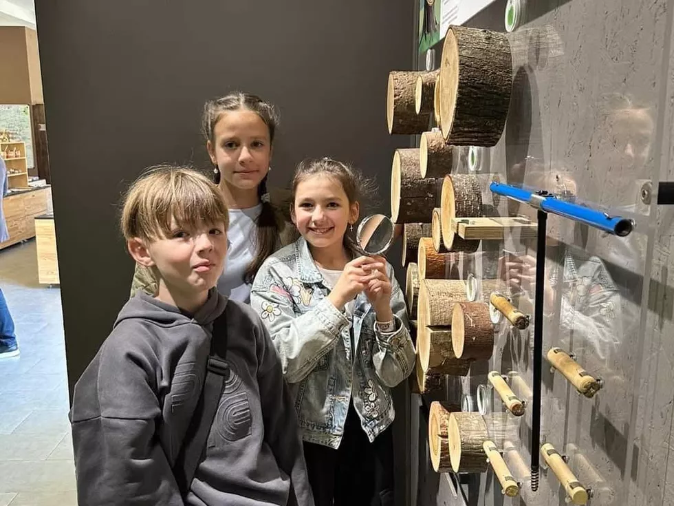 travel program image