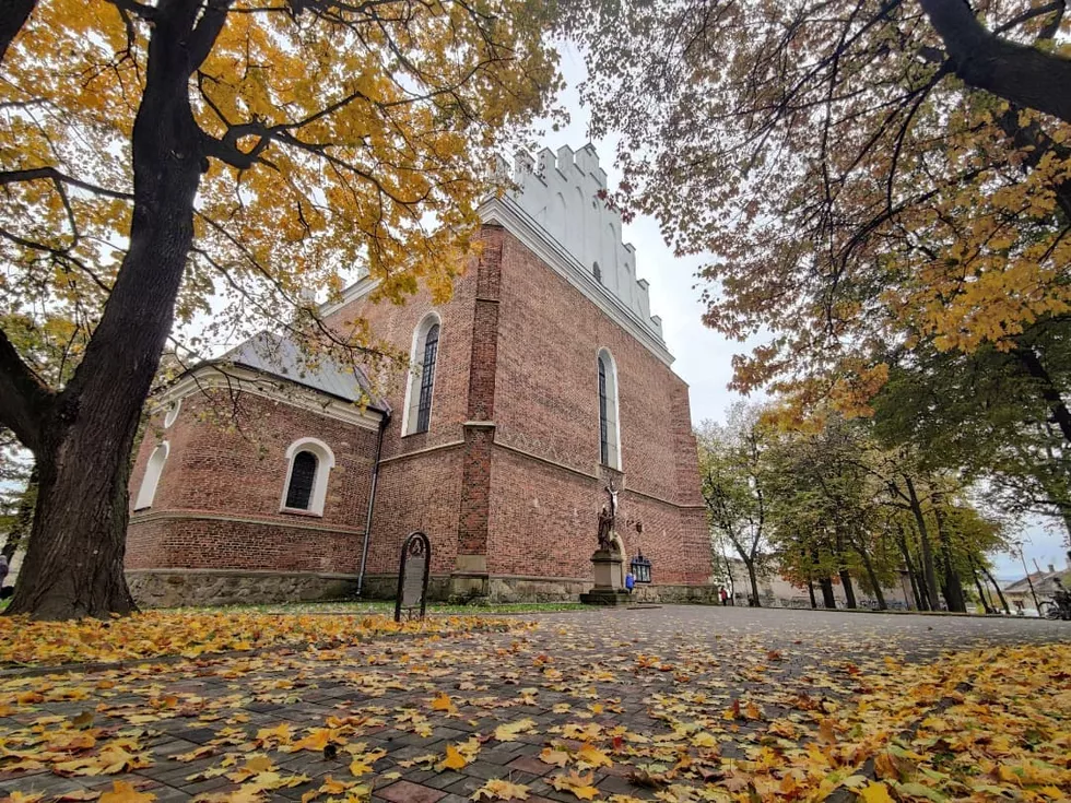 travel program image