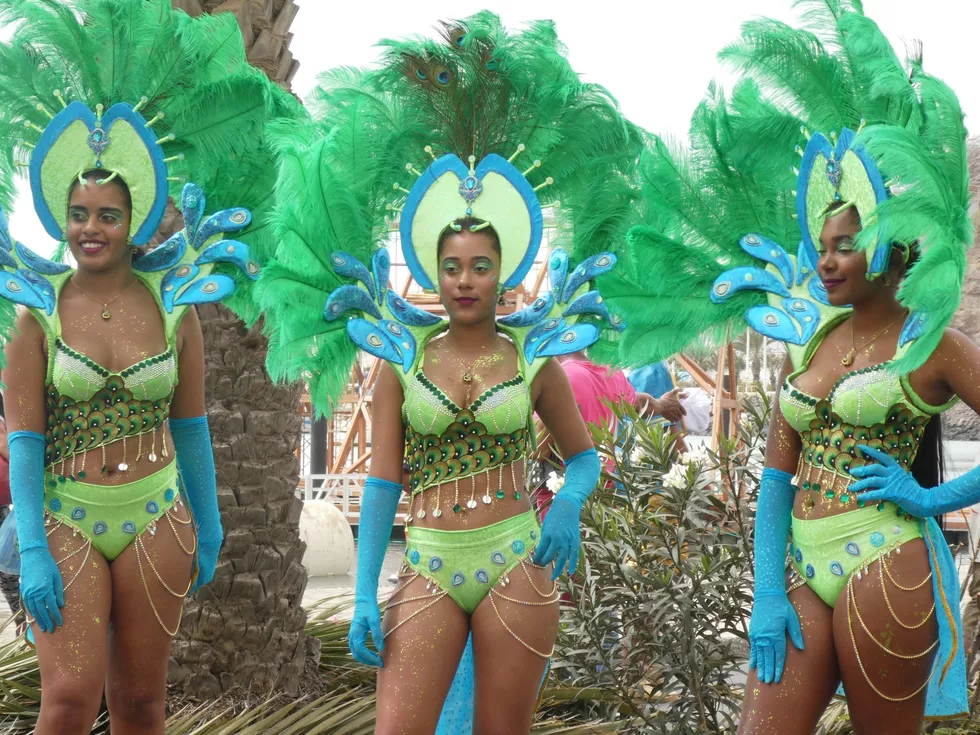 travel program image