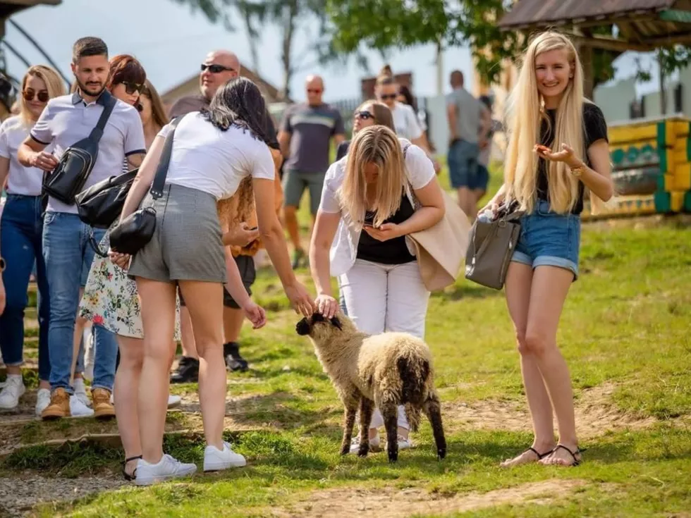 travel program image